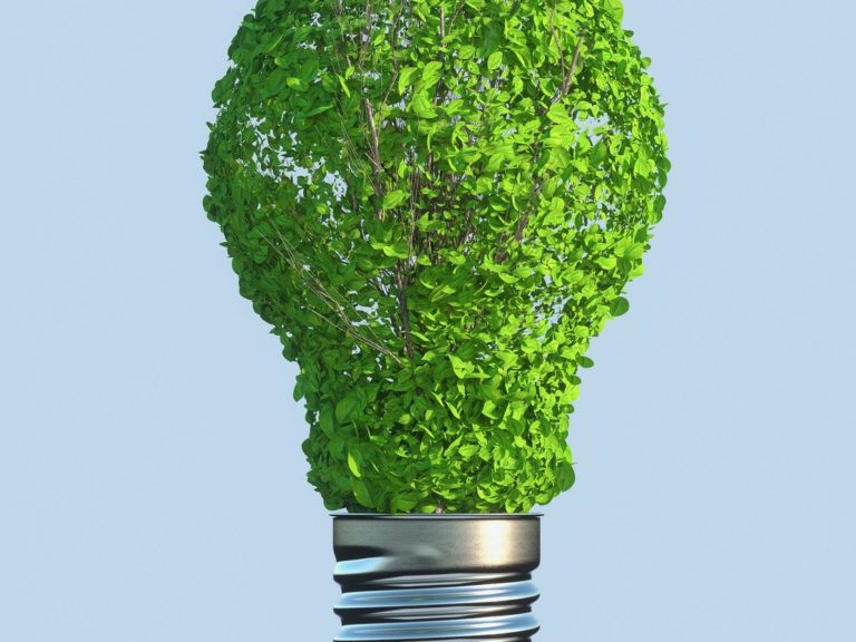 Nachhaltigem Marketing für die Zukunft